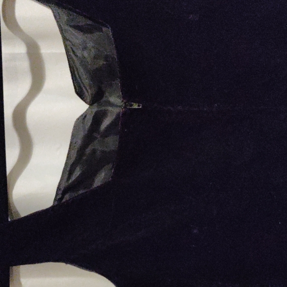 Vintage Velvet Dress - Picture 4 of 7